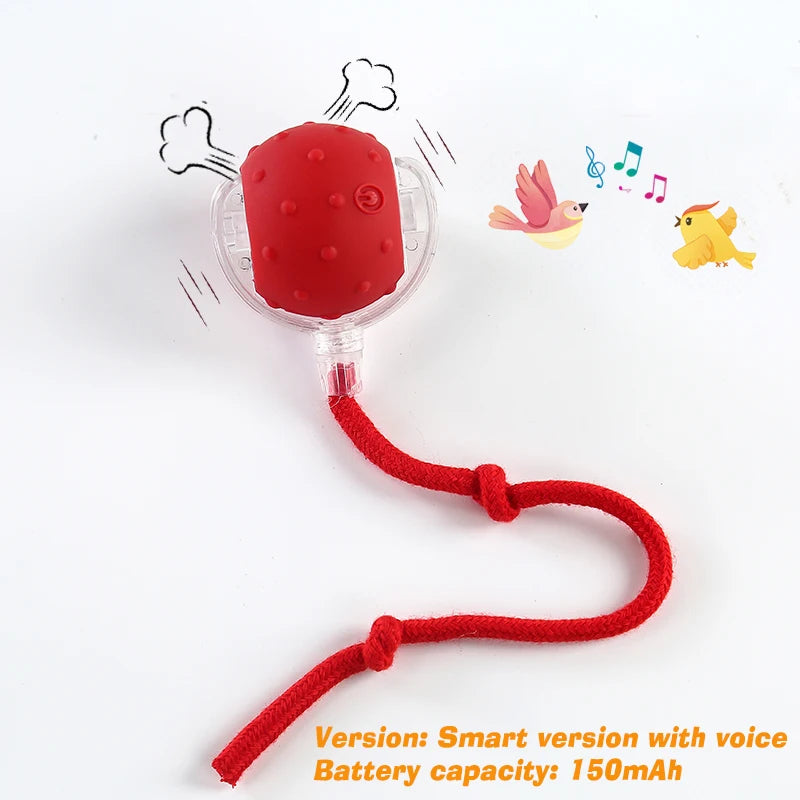 Smart Automatic Rolling Dog Ball Toy Rechargeable