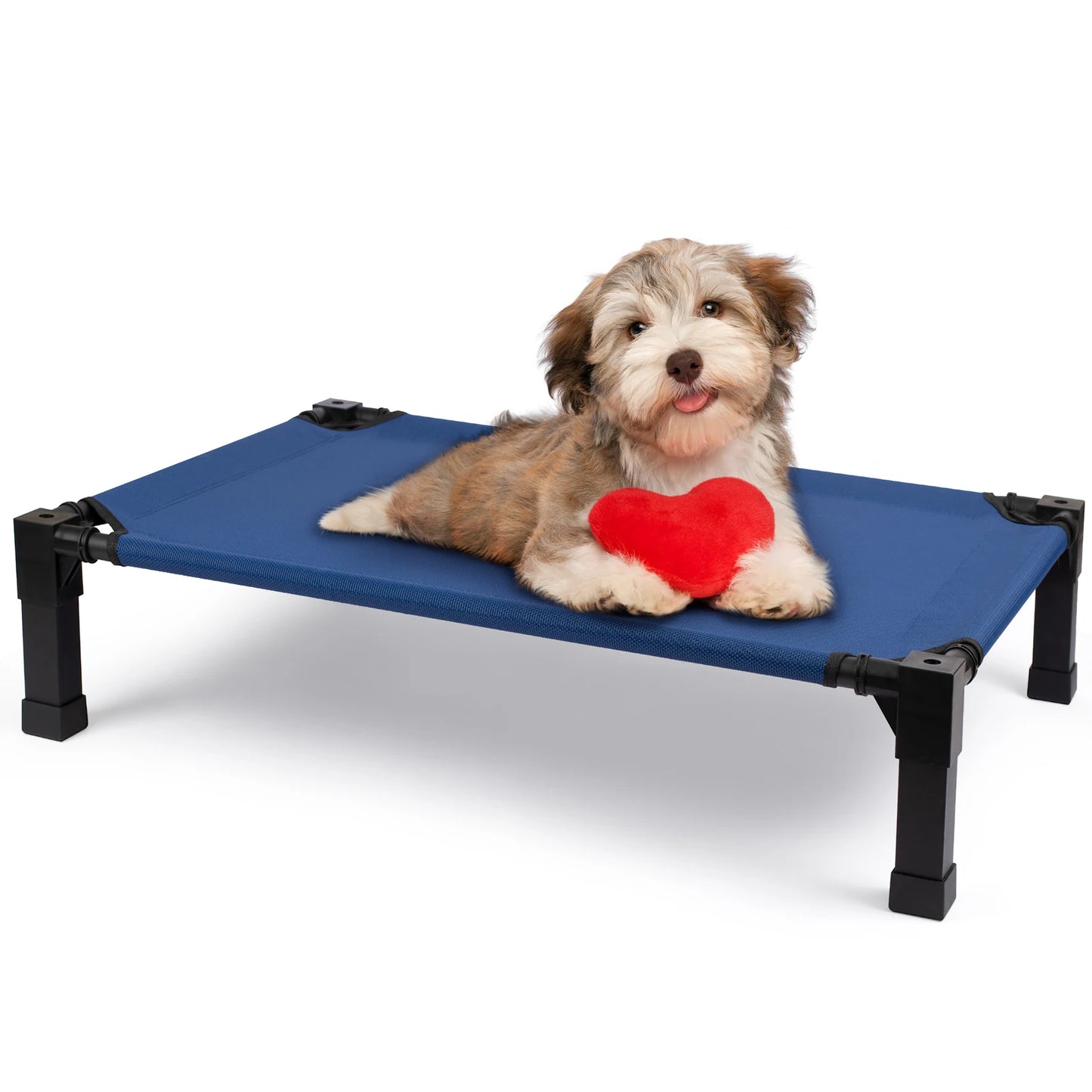 Elevated Cooling Dog Bed With Chew Proof Mesh