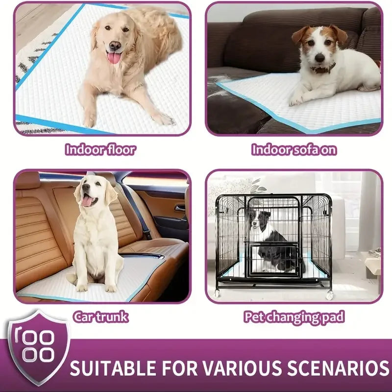 Premium Disposable Dog Training Pads Leakproof