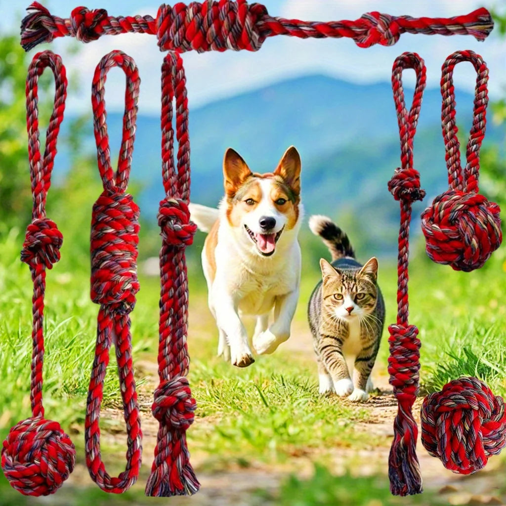 Heavy Duty Dog Rope Toy Set With Braided Knots