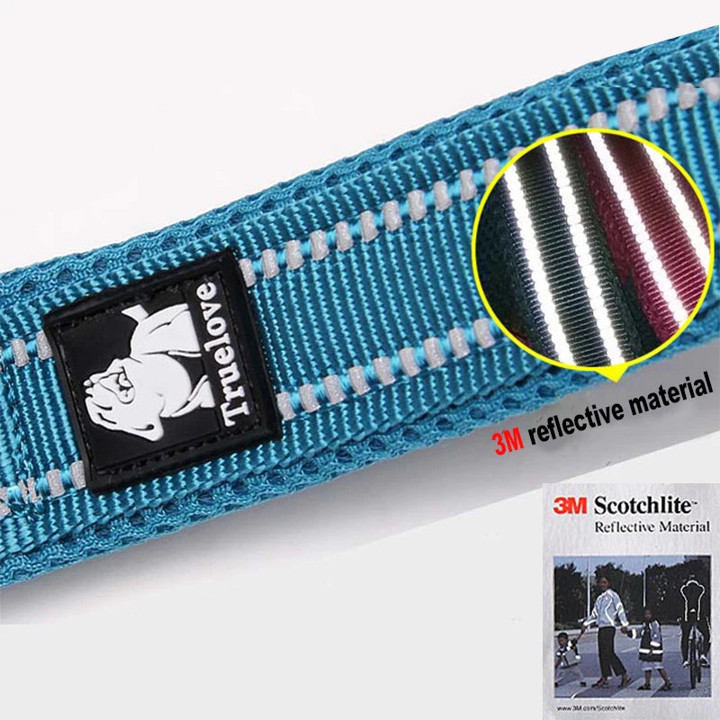 Winhyepet Padded Handle Dog Leash Training Durable