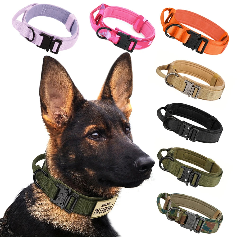 Adjustable Nylon Dog Training Collar And Leash With Handle