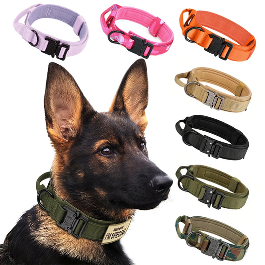 Adjustable Nylon Dog Training Collar And Leash With Handle