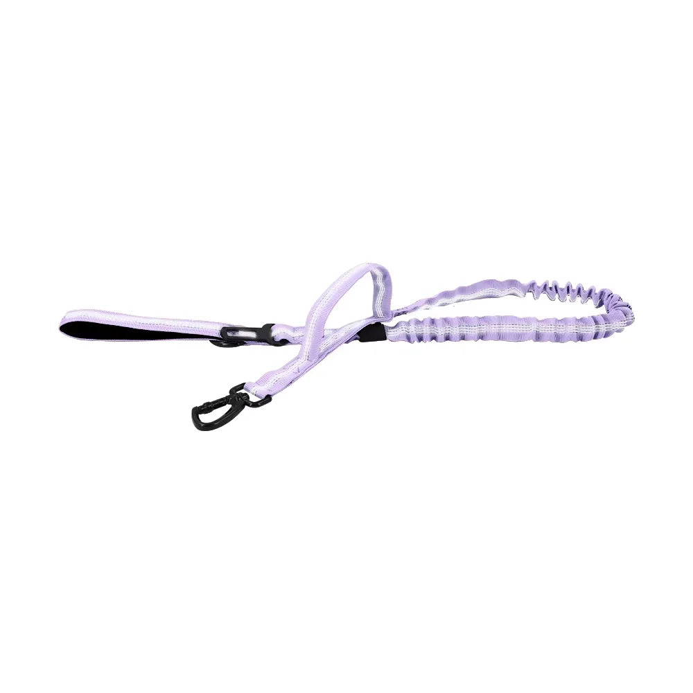 Military Dog Leash With Dual Handles And Quick Release