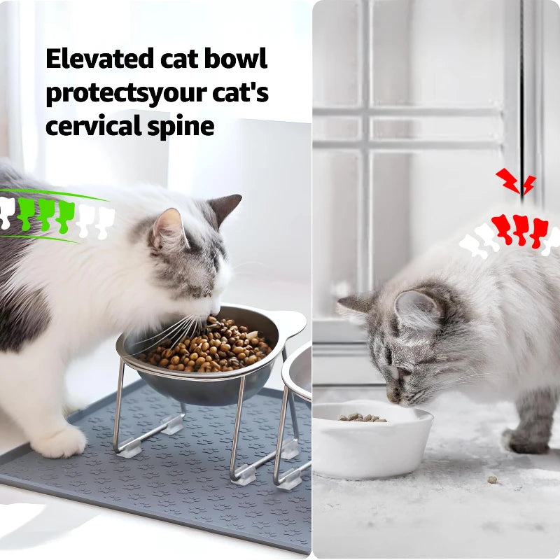 304 Stainless Steel Raised Cat Bowl With Tilted Neck Guard