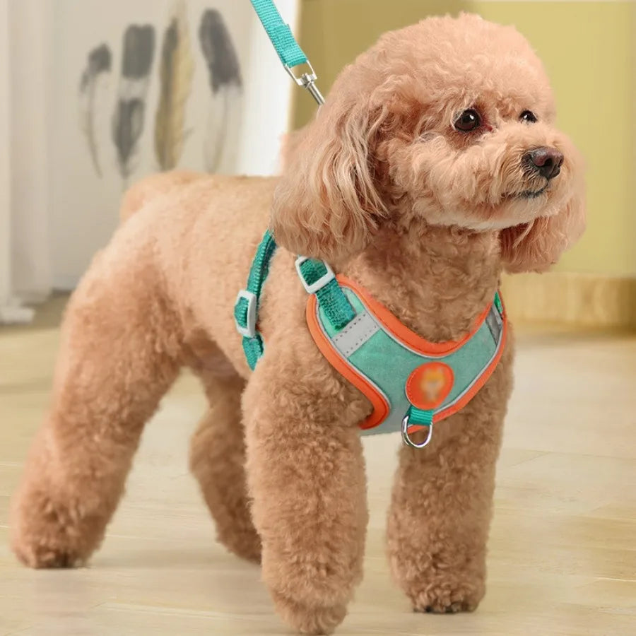 Vest Type Dog Leash For Small Breeds Puppy Walking