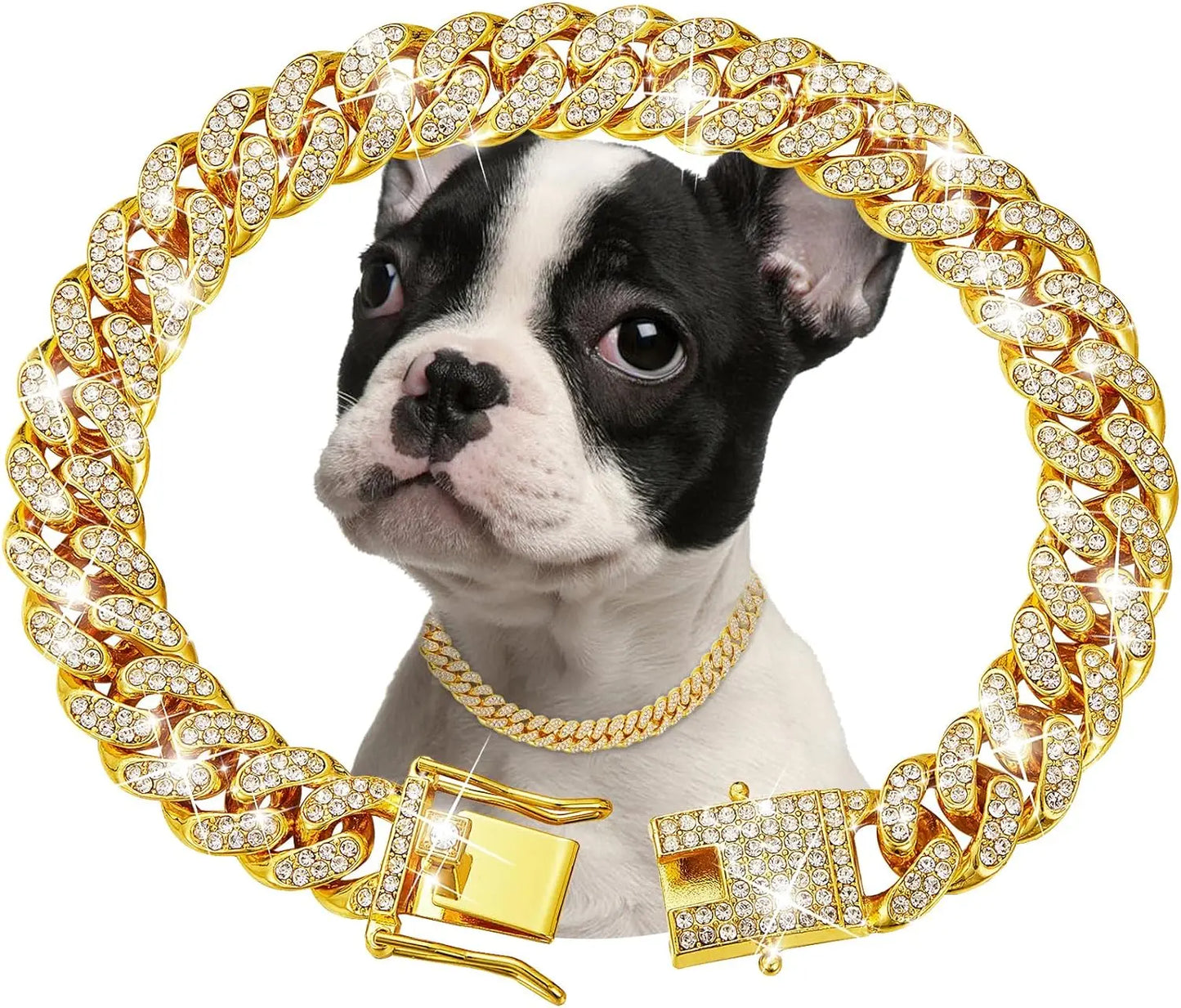 Stainless Steel Dog Chain Collar Jewelry Accessory