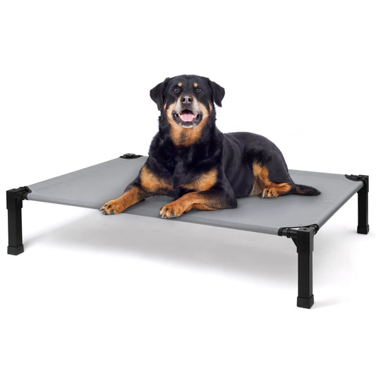 Elevated Cooling Dog Bed With Chew Proof Mesh