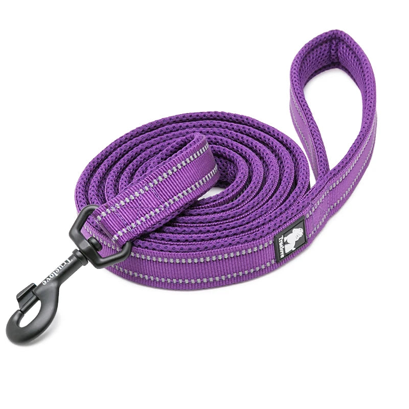 Winhyepet Padded Handle Dog Leash Training Durable