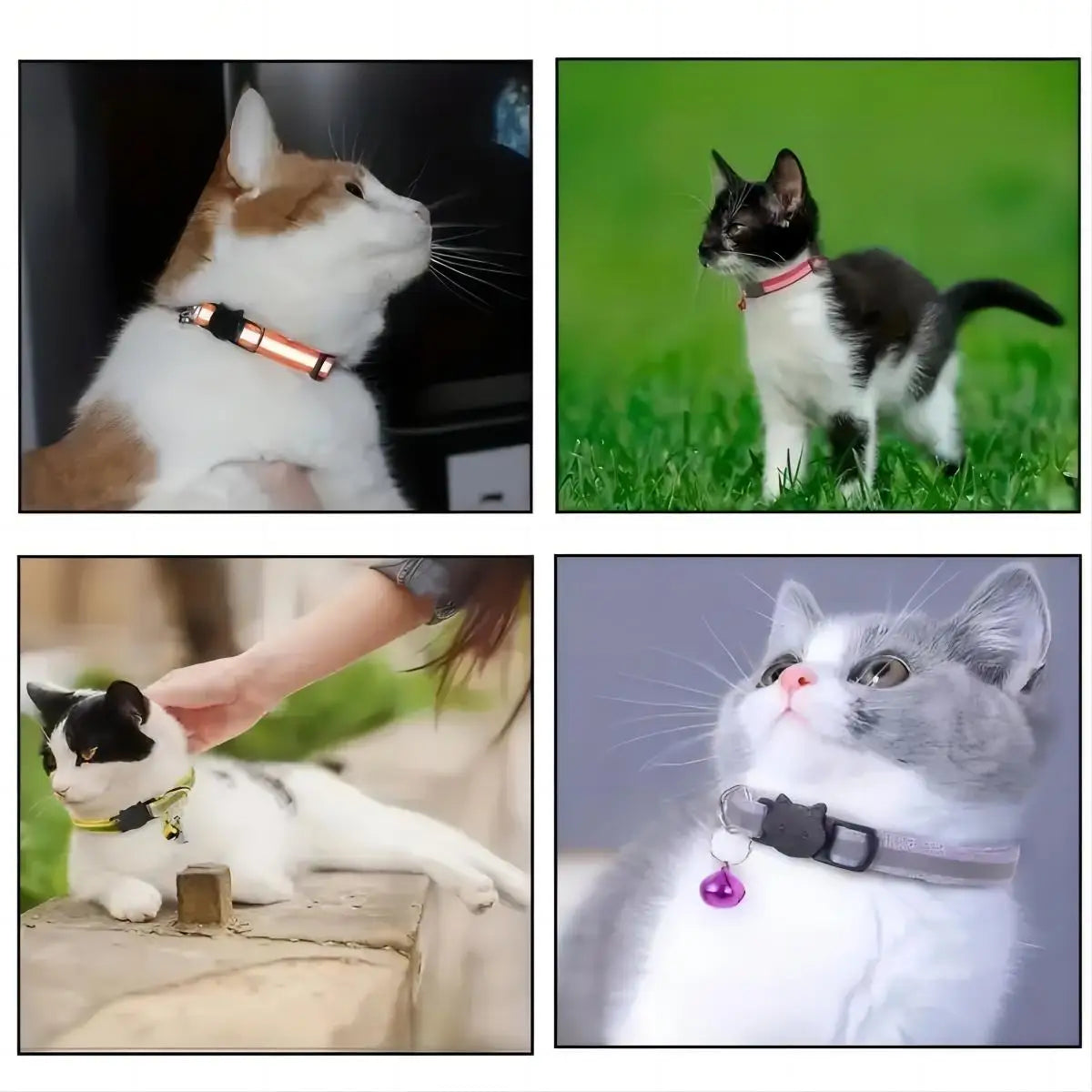Footprint Reflective Pet Collar Set For Cats And Dogs