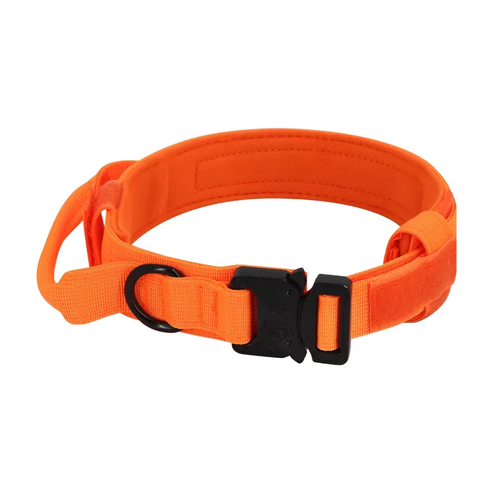 Dog Training Collar Leash Set With Control Handle