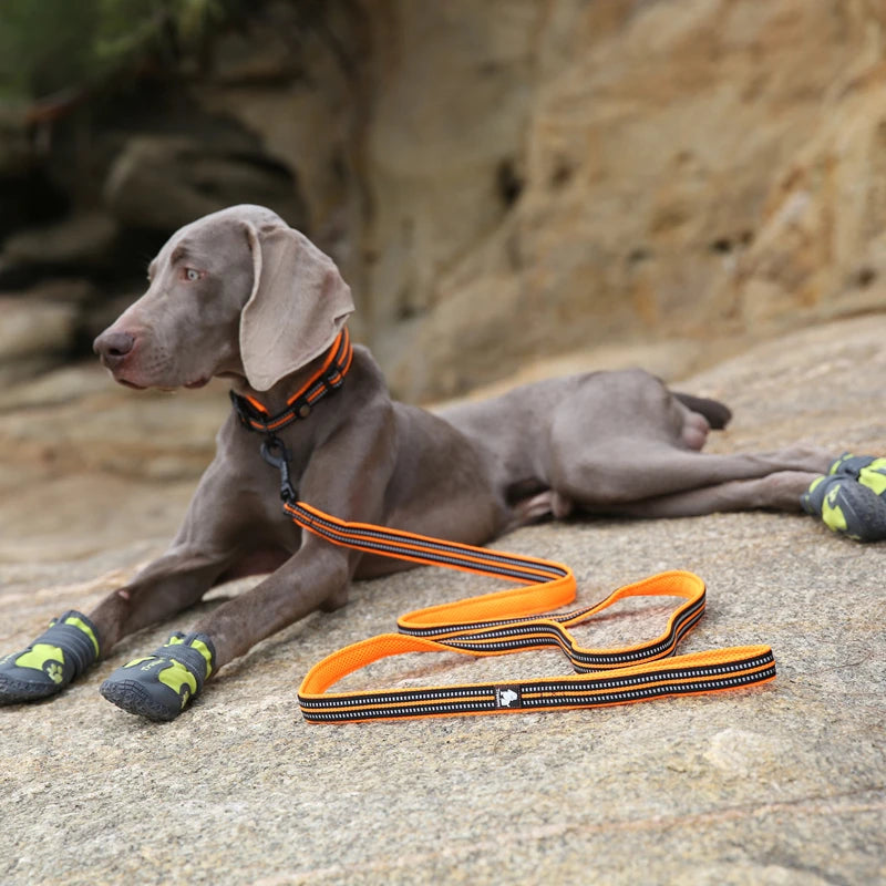 Winhyepet Padded Handle Dog Leash Training Durable
