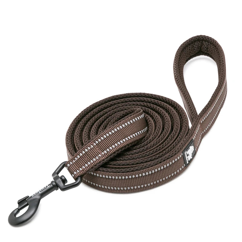 Winhyepet Padded Handle Dog Leash Training Durable