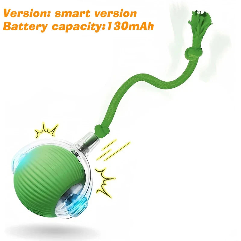 Smart Automatic Rolling Dog Ball Toy Rechargeable