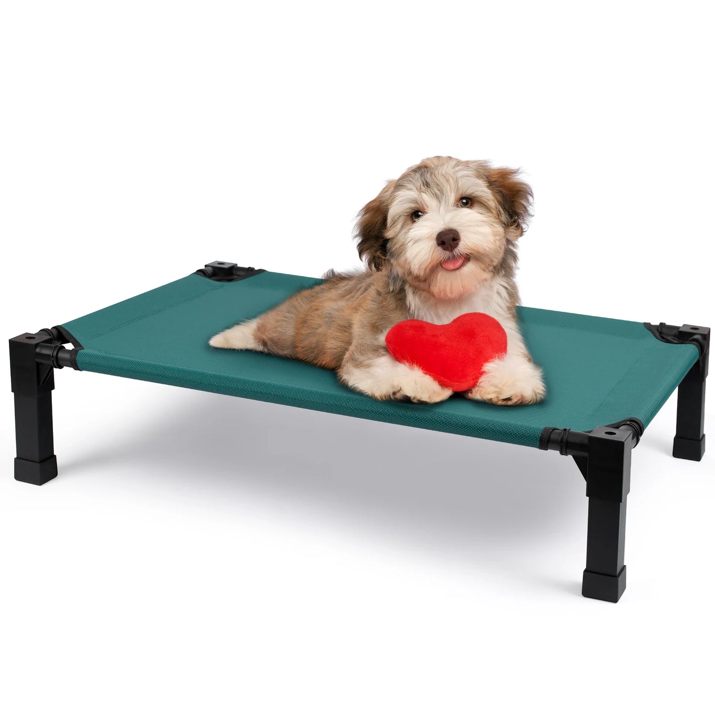 Elevated Cooling Dog Bed With Chew Proof Mesh
