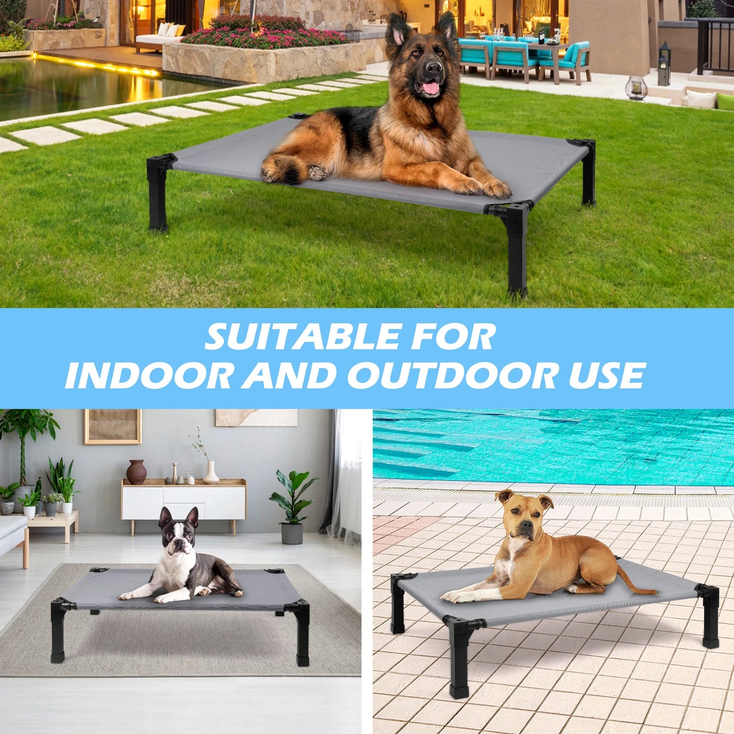 Elevated Cooling Dog Bed With Chew Proof Mesh