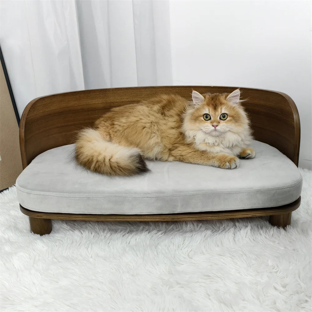 BORWART CN Elevated Pet Sofa Bed For Dogs And Cats