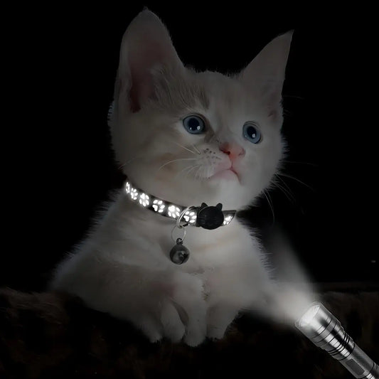 Footprint Reflective Pet Collar Set For Cats And Dogs