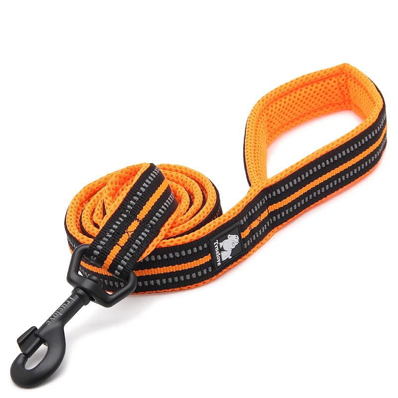 Winhyepet Padded Handle Dog Leash Training Durable
