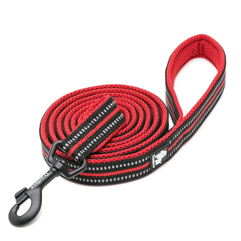 Winhyepet Padded Handle Dog Leash Training Durable
