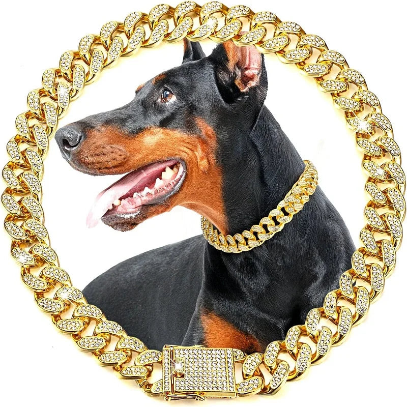 Stainless Steel Dog Chain Collar Jewelry Accessory