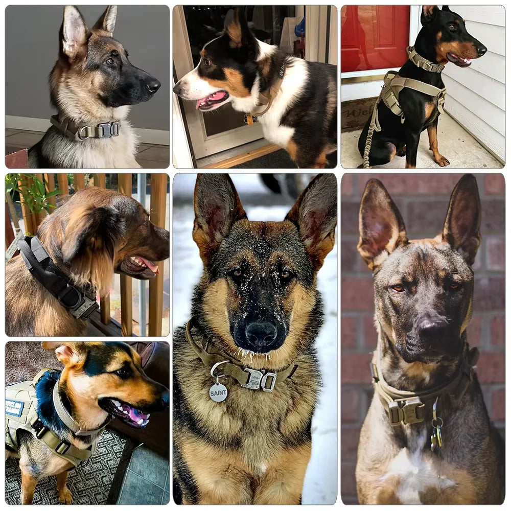 Adjustable Nylon Dog Training Collar And Leash With Handle