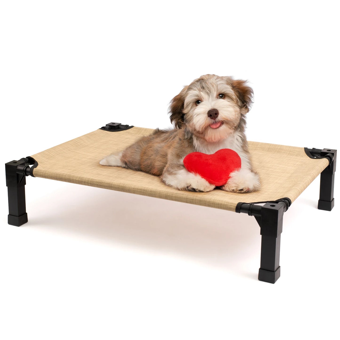 Elevated Cooling Dog Bed With Chew Proof Mesh