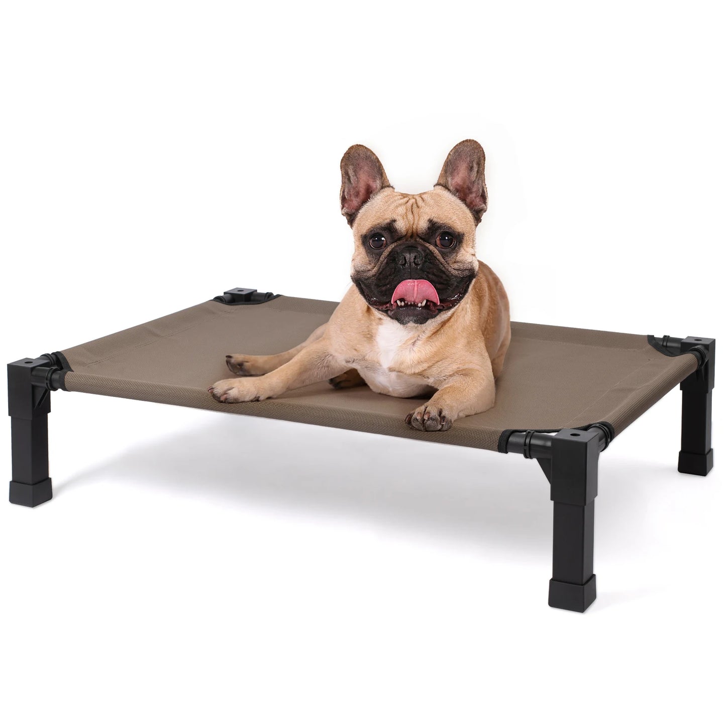 Elevated Cooling Dog Bed With Chew Proof Mesh