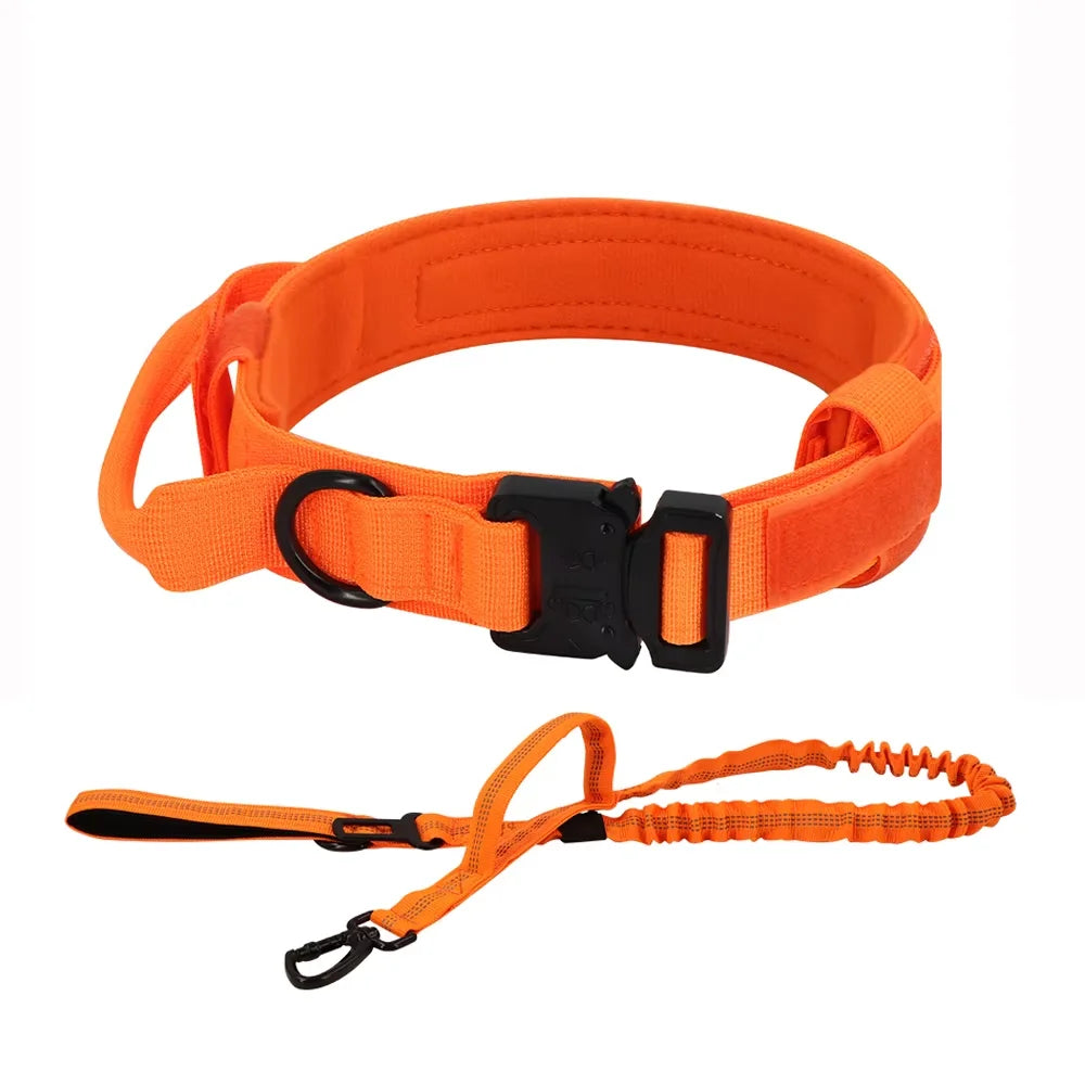 Adjustable Nylon Dog Training Collar And Leash With Handle
