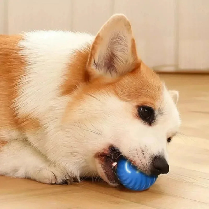 Dog Ball Toy USB Automatic Moving Bouncing Interactive Chew