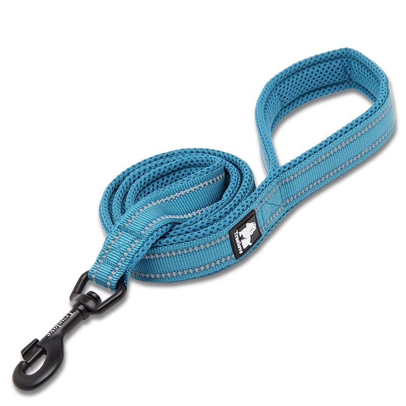 Winhyepet Padded Handle Dog Leash Training Durable