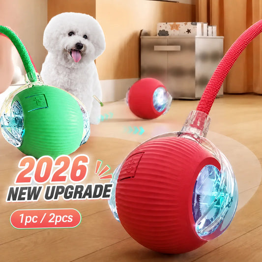 Smart Automatic Rolling Dog Ball Toy Rechargeable