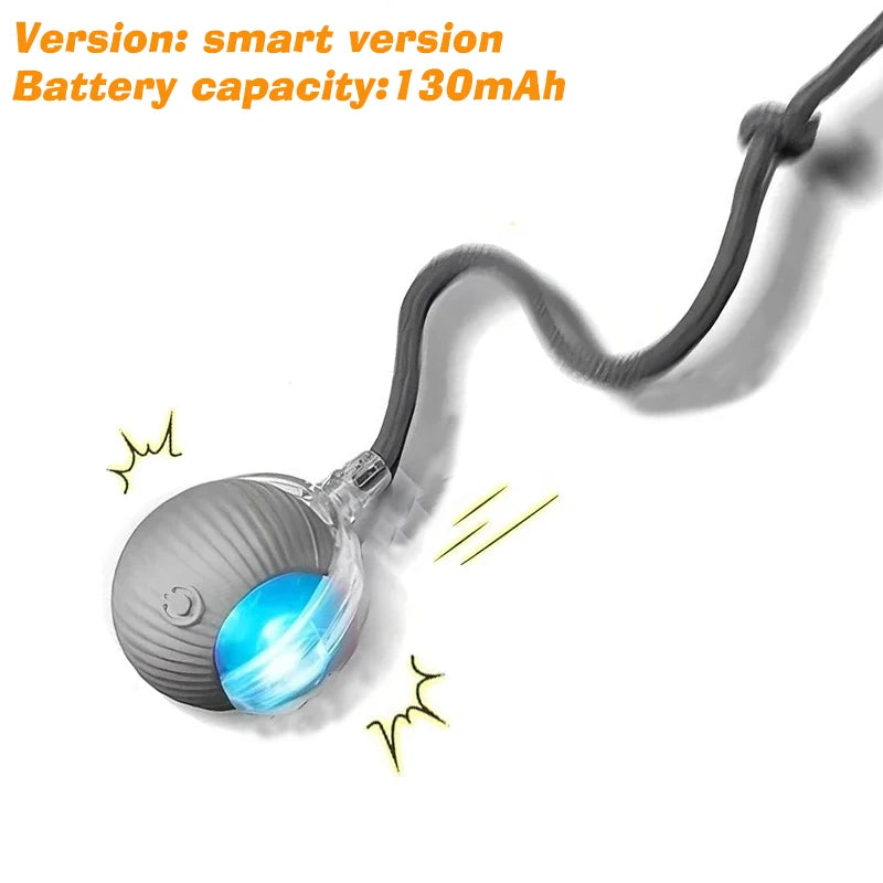Smart Automatic Rolling Dog Ball Toy Rechargeable