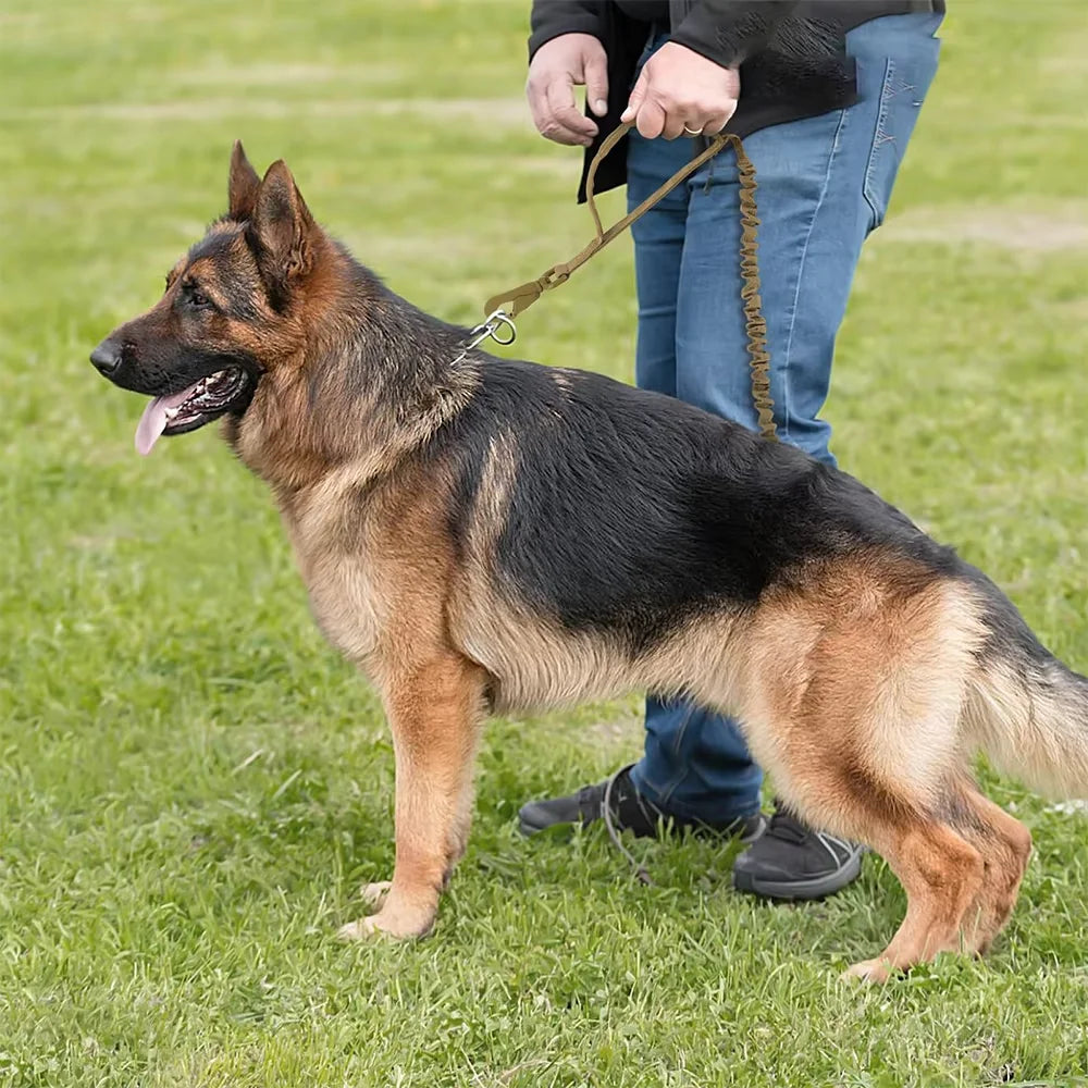 Military Dog Leash With Dual Handles And Quick Release