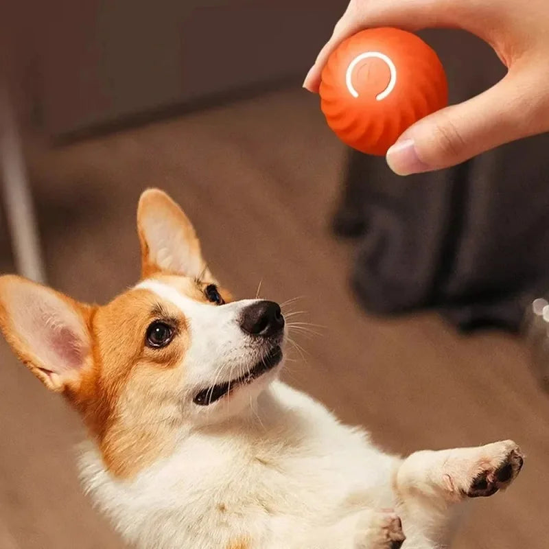Dog Ball Toy USB Automatic Moving Bouncing Interactive Chew