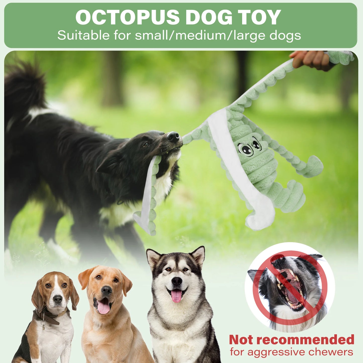 Squeaky Plush Dog Toy for Interactive Chewing