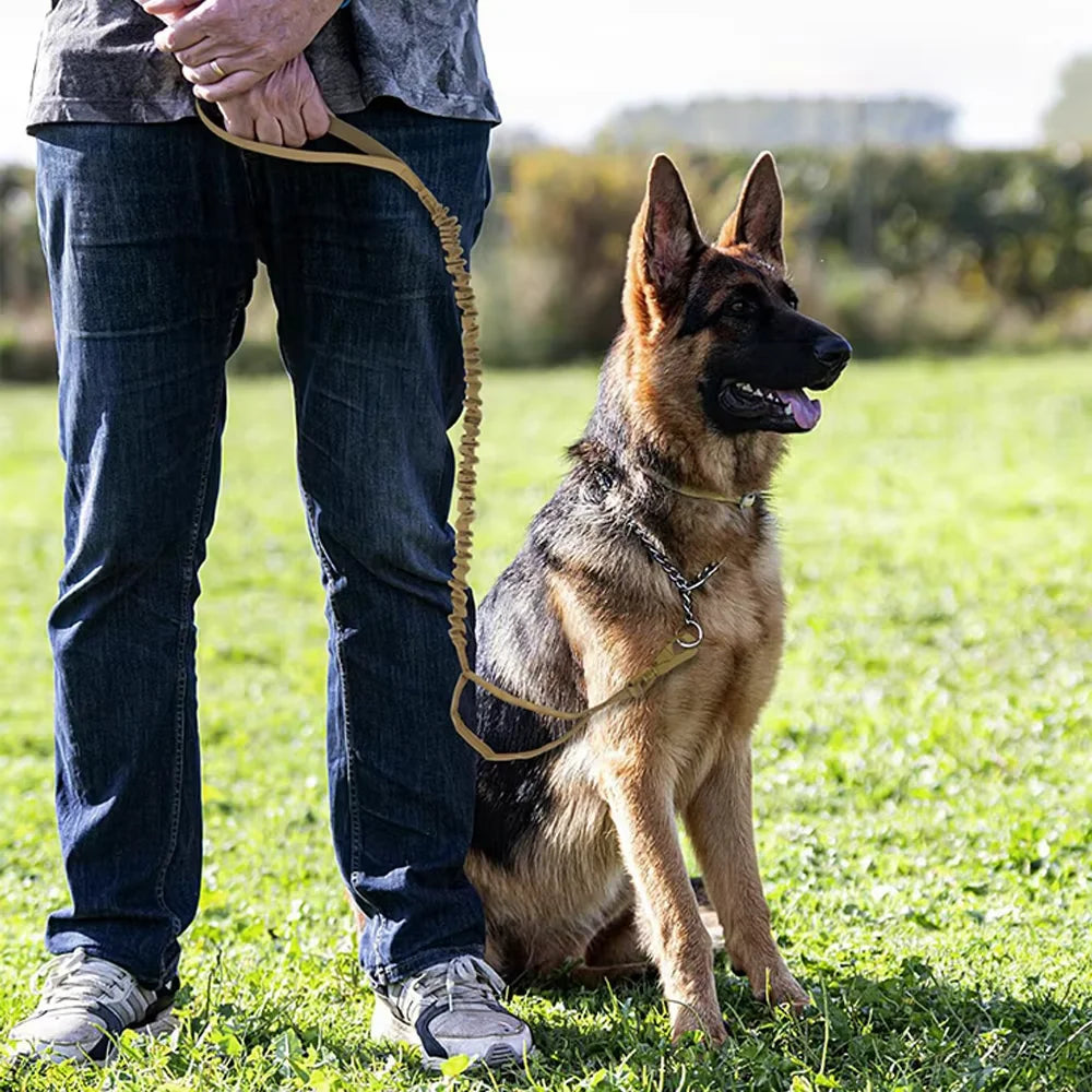 Military Dog Leash With Dual Handles And Quick Release
