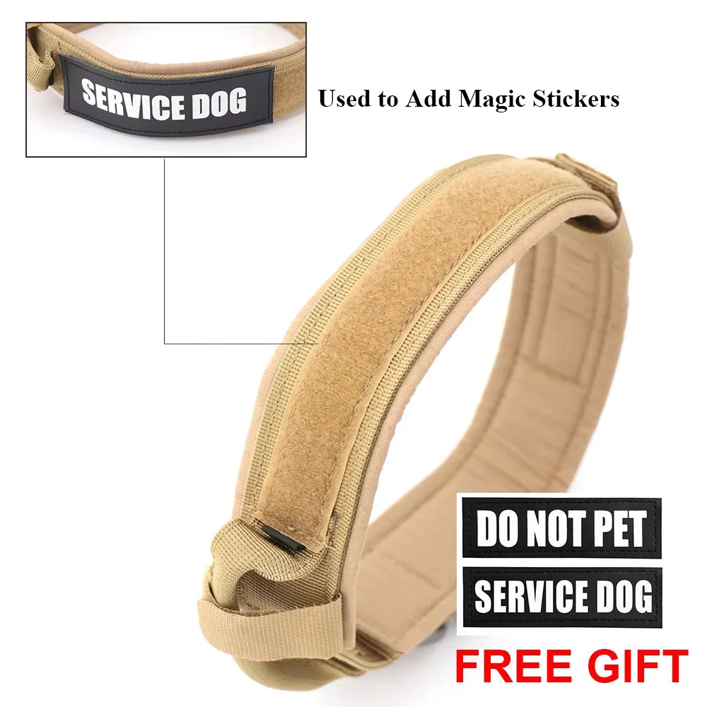 Adjustable Nylon Dog Training Collar And Leash With Handle